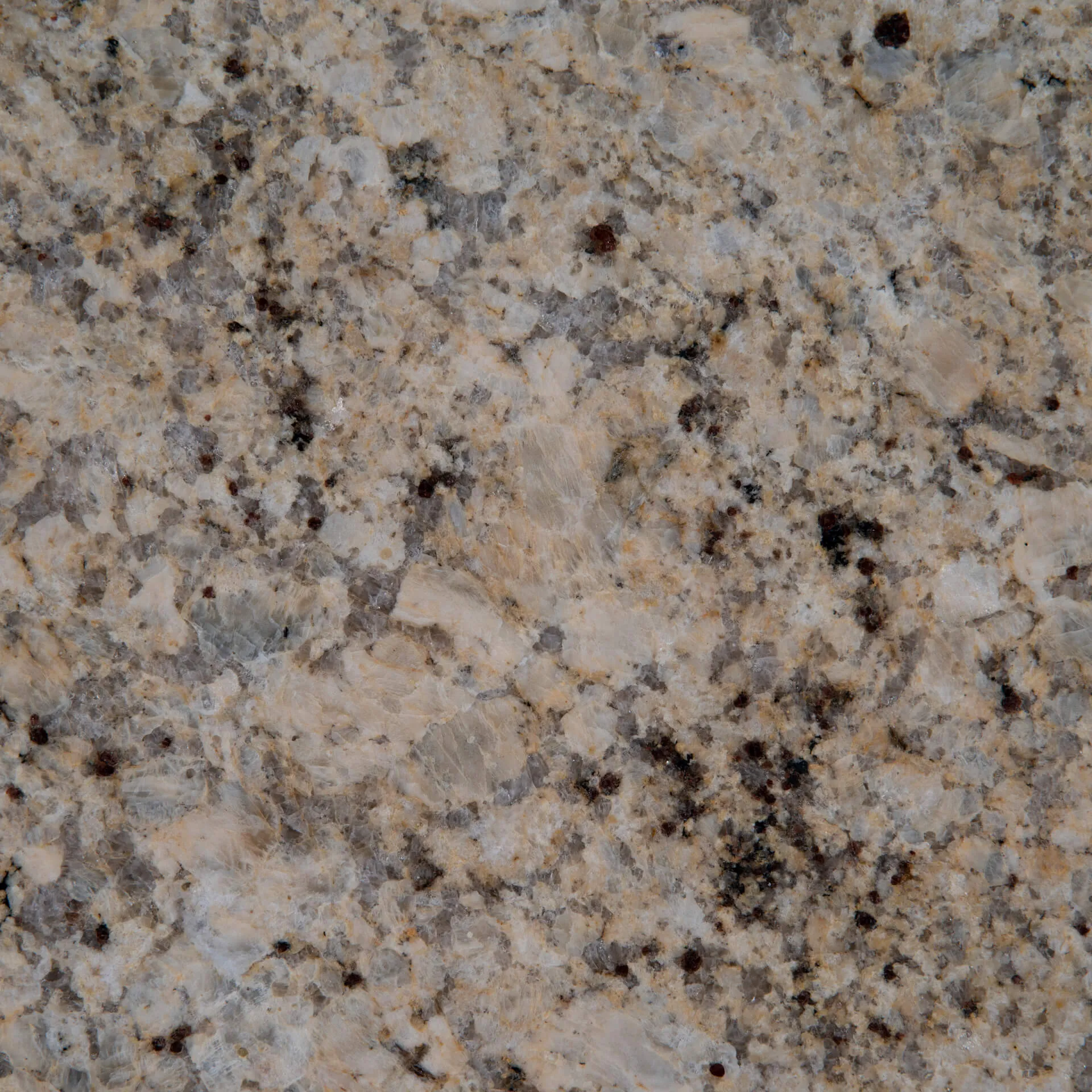 Colonial Gold Granite