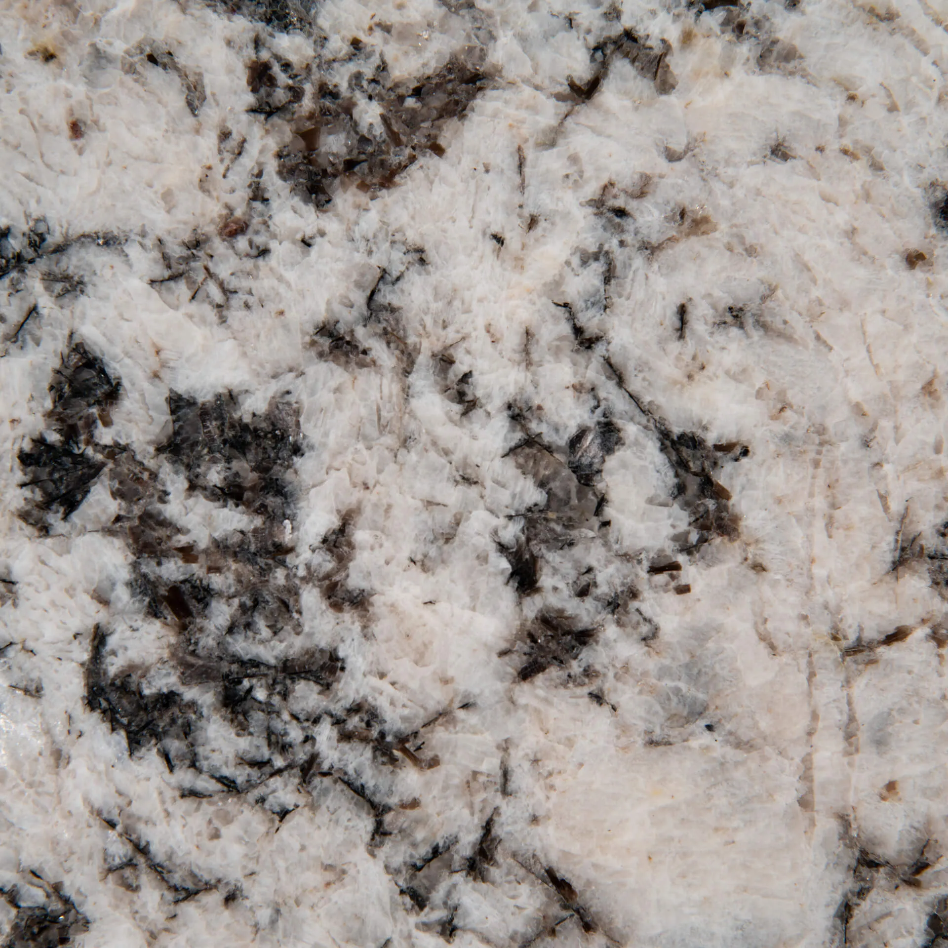 Oyster White Granite